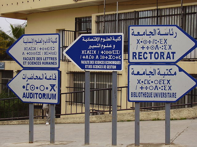 Translation